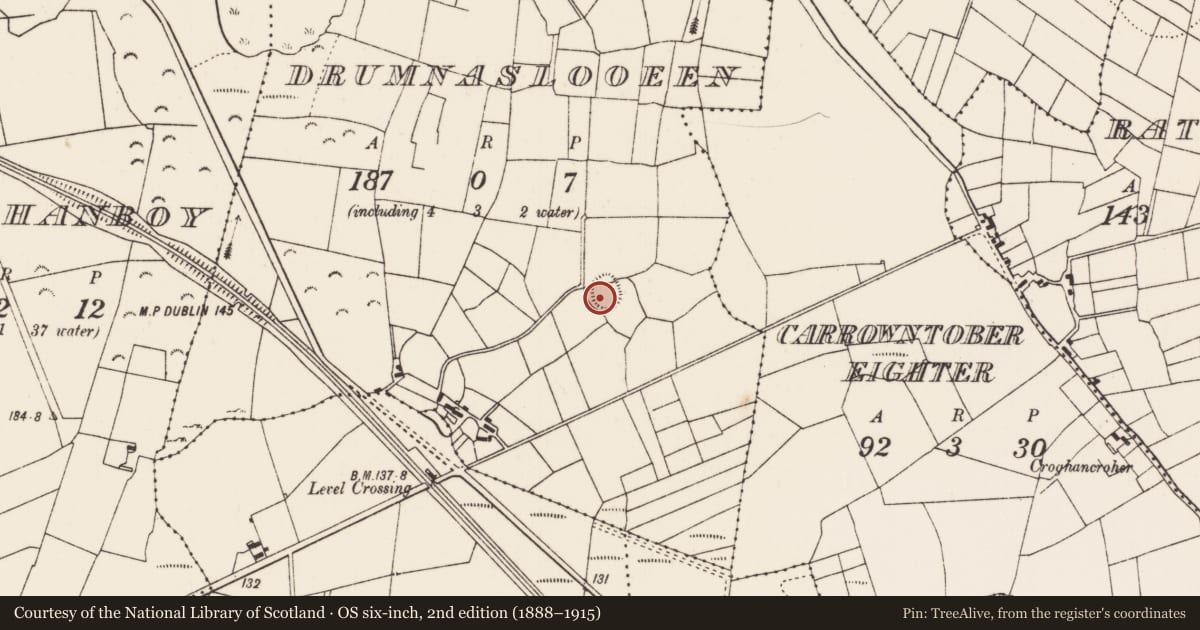 Ordnance Survey six-inch map, 2nd edition (1888–1915) covering the location of Ringfort - rath, Drumnaslooeen, County Mayo, with a pin at the register's coordinates