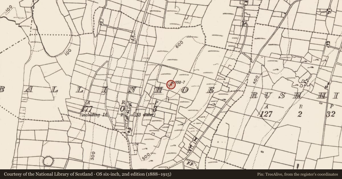 Ordnance Survey six-inch map, 2nd edition (1888–1915) covering the location of Cairn - unclassified, Ballinhoe, County Mayo, with a pin at the register's coordinates