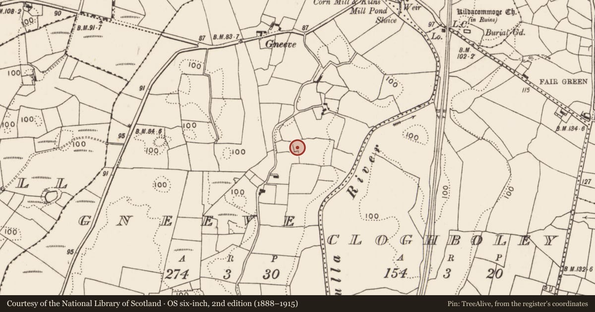 Ordnance Survey six-inch map, 2nd edition (1888–1915) covering the location of Enclosure, Gneeve, County Mayo, with a pin at the register's coordinates