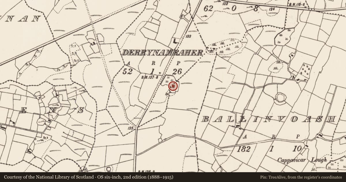 Ordnance Survey six-inch map, 2nd edition (1888–1915) covering the location of Crannog, Derrynamraher, Lisnaran, County Mayo, with a pin at the register's coordinates