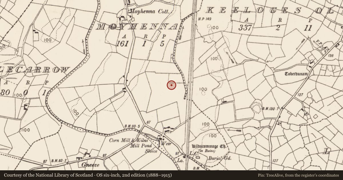 Ordnance Survey six-inch map, 2nd edition (1888–1915) covering the location of Barrow - unclassified, Moyhenna, County Mayo, with a pin at the register's coordinates