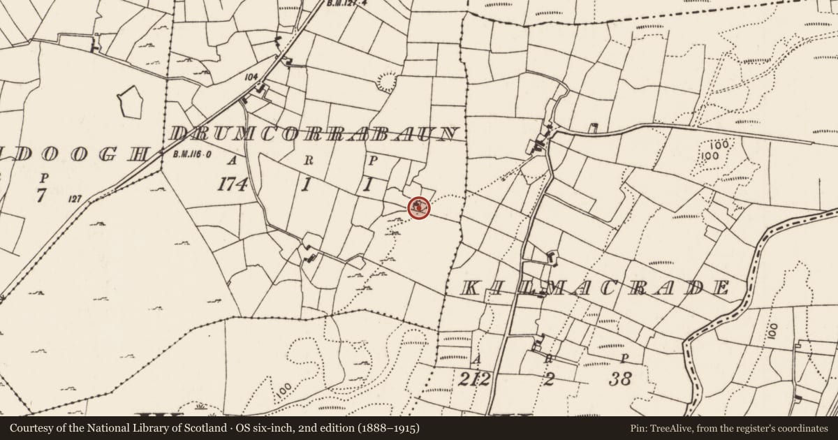 Ordnance Survey six-inch map, 2nd edition (1888–1915) covering the location of Ringfort - rath, Drumcorrabaun (Carra By., Breaghwy Par.), County Mayo, with a pin at the register's coordinates