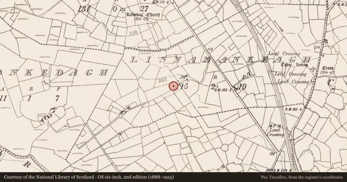 Ordnance Survey six-inch map, 2nd edition (1888–1915) covering the location of Ringfort - unclassified, Lisnamaneeagh, County Mayo, with a pin at the register's coordinates