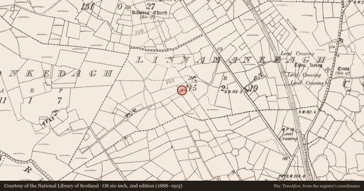 Ordnance Survey six-inch map, 2nd edition (1888–1915) covering the location of Souterrain, Lisnamaneeagh, County Mayo, with a pin at the register's coordinates