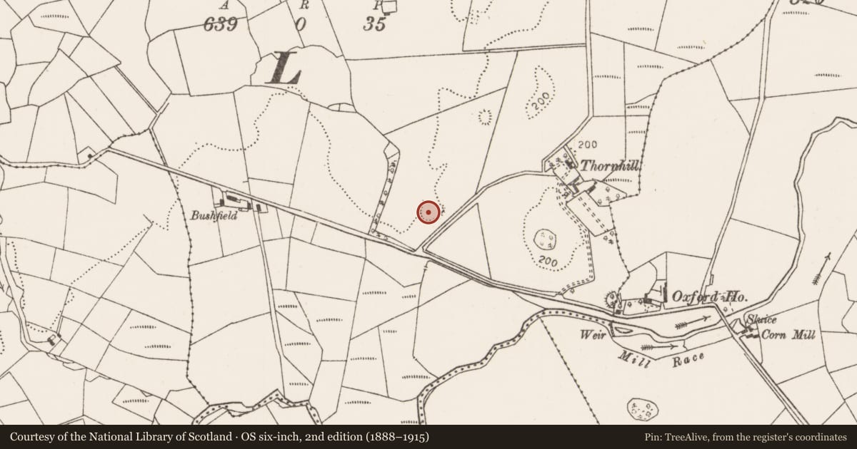 Ordnance Survey six-inch map, 2nd edition (1888–1915) covering the location of Ringfort - rath, Knocknaskeagh (Gallen By., Killeden Par.), County Mayo, with a pin at the register's coordinates