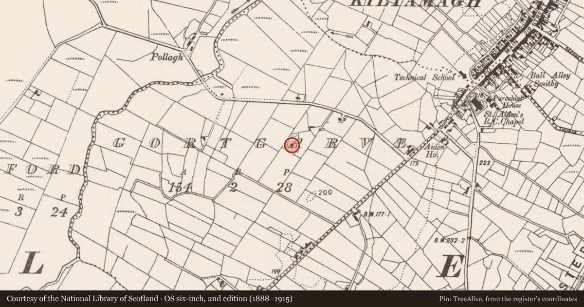 Ordnance Survey six-inch map, 2nd edition (1888–1915) covering the location of Ringfort - rath, Gortgarve, County Mayo, with a pin at the register's coordinates
