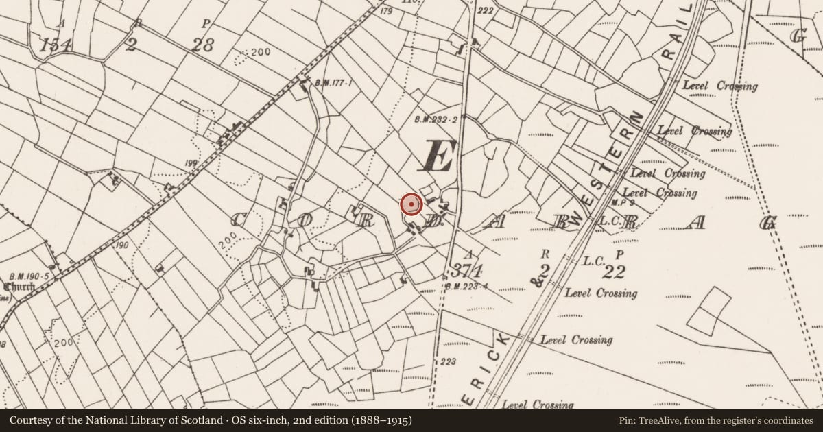 Ordnance Survey six-inch map, 2nd edition (1888–1915) covering the location of Ringfort - rath, Cordarragh, County Mayo, with a pin at the register's coordinates