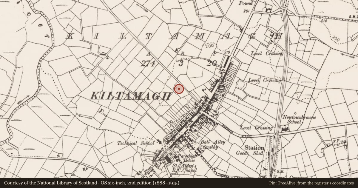 Ordnance Survey six-inch map, 2nd edition (1888–1915) covering the location of Ringfort - rath, Kiltamagh, County Mayo, with a pin at the register's coordinates