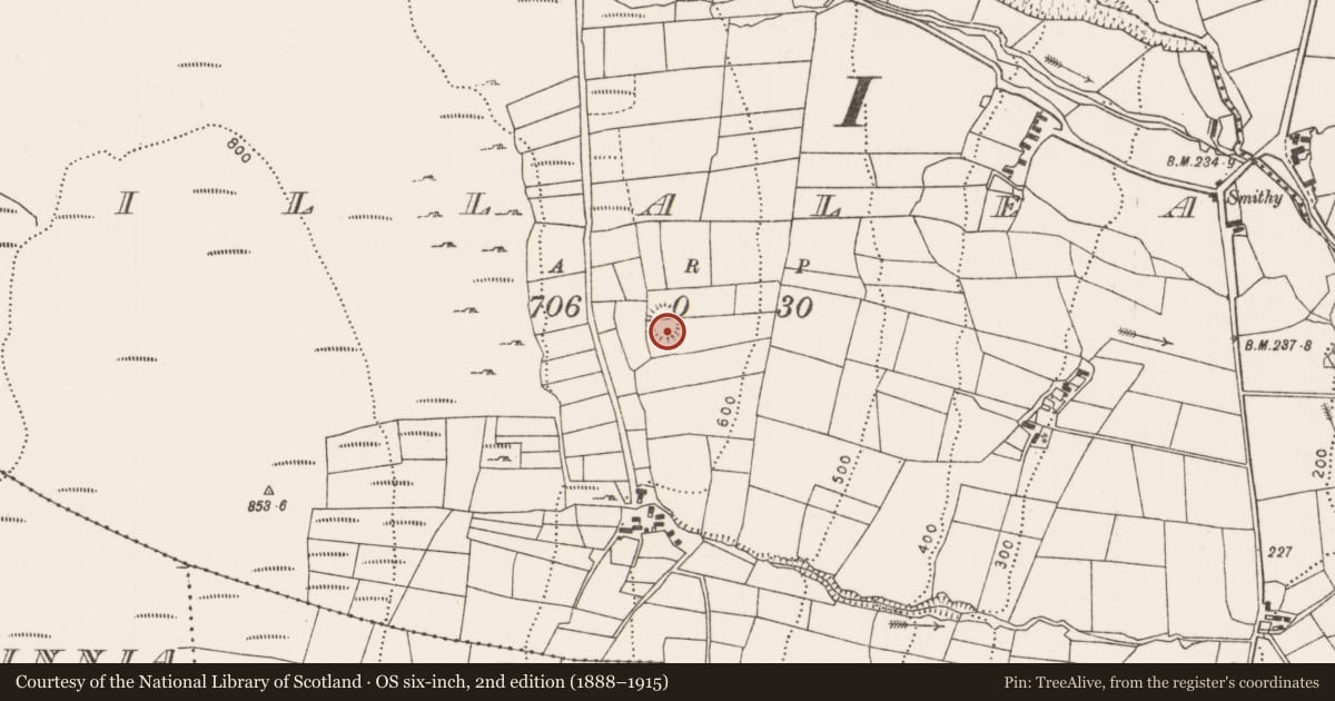 Ordnance Survey six-inch map, 2nd edition (1888–1915) covering the location of Ringfort - rath, Cuillalea, County Mayo, with a pin at the register's coordinates