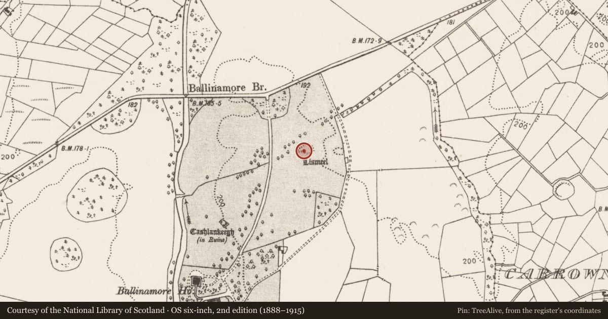 Ordnance Survey six-inch map, 2nd edition (1888–1915) covering the location of Enclosure, Ballinamore, County Mayo, with a pin at the register's coordinates