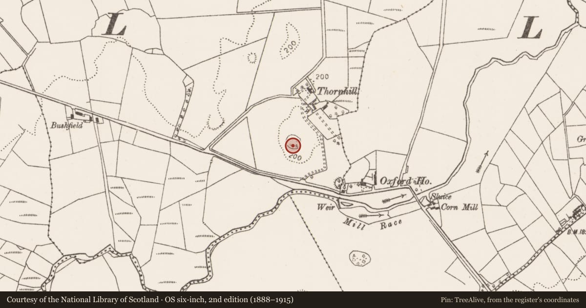 Ordnance Survey six-inch map, 2nd edition (1888–1915) covering the location of Ringfort - rath, Knocknaskeagh (Gallen By., Killeden Par.), County Mayo, with a pin at the register's coordinates