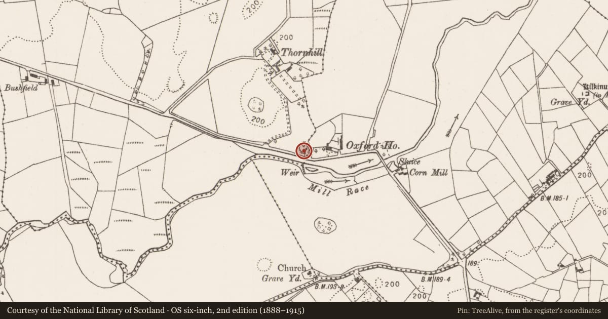 Ordnance Survey six-inch map, 2nd edition (1888–1915) covering the location of Enclosure, Knocknaskeagh (Gallen By., Killeden Par.), County Mayo, with a pin at the register's coordinates