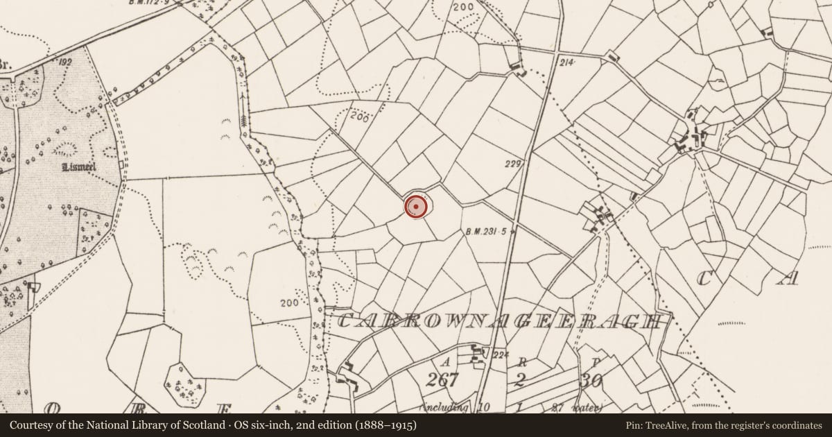 Ordnance Survey six-inch map, 2nd edition (1888–1915) covering the location of Ringfort - rath, Carrownageeragh (Gallen By., Killeden Par.), County Mayo, with a pin at the register's coordinates