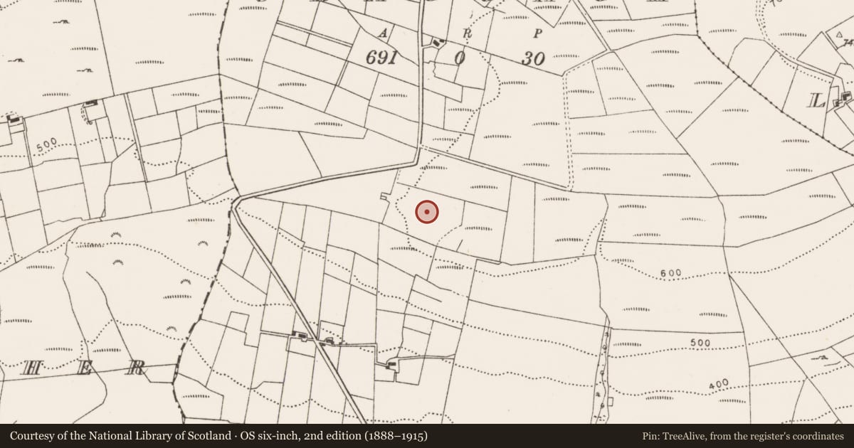 Ordnance Survey six-inch map, 2nd edition (1888–1915) covering the location of Barrow - ring-barrow, Craggagh, County Mayo, with a pin at the register's coordinates