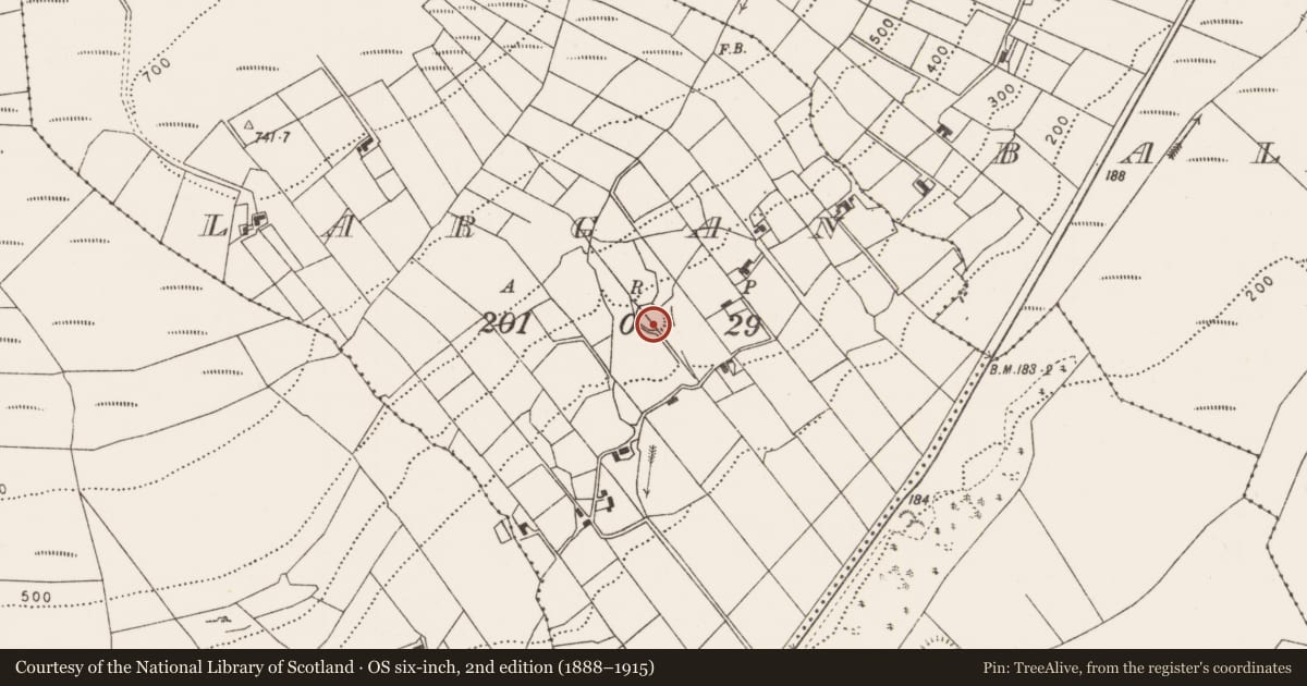 Ordnance Survey six-inch map, 2nd edition (1888–1915) covering the location of Enclosure, Largan, County Mayo, with a pin at the register's coordinates