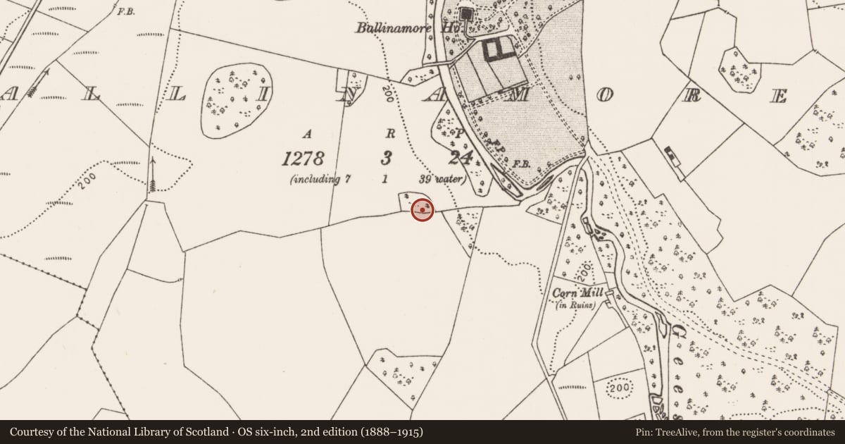 Ordnance Survey six-inch map, 2nd edition (1888–1915) covering the location of Ringfort - rath, Ballinamore, County Mayo, with a pin at the register's coordinates