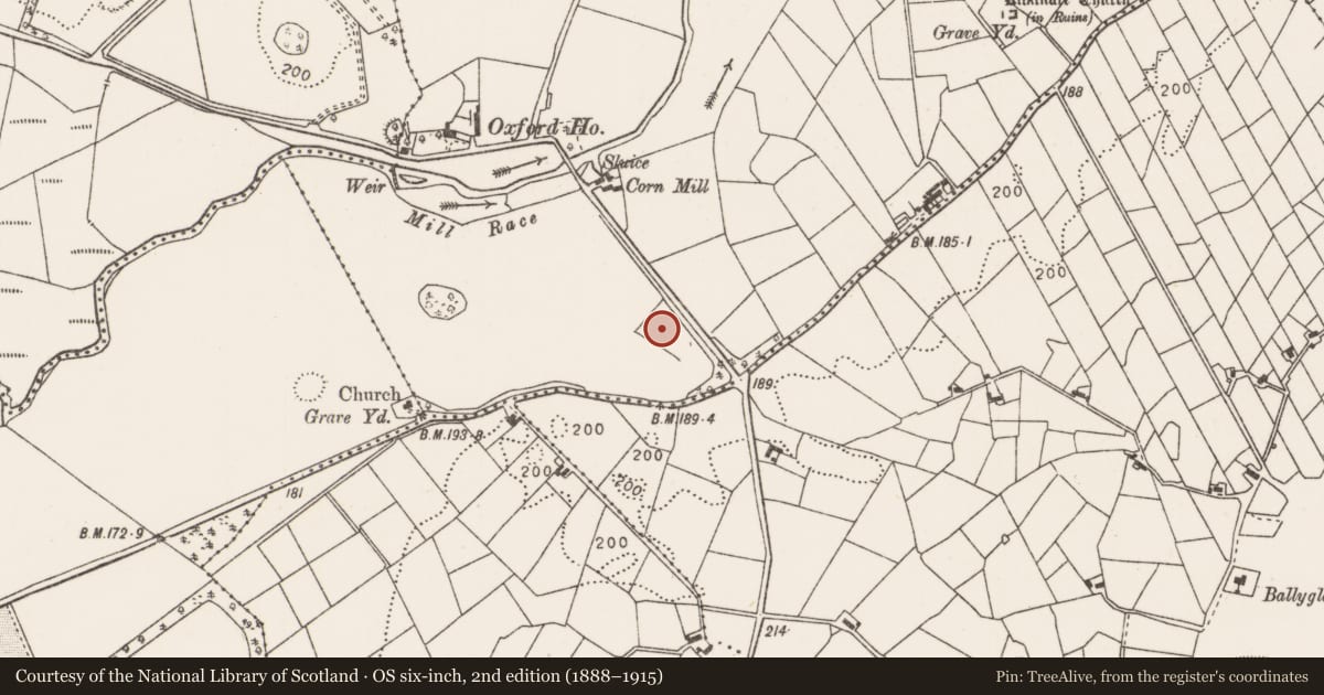 Ordnance Survey six-inch map, 2nd edition (1888–1915) covering the location of Fulacht fia, Oxford, County Mayo, with a pin at the register's coordinates