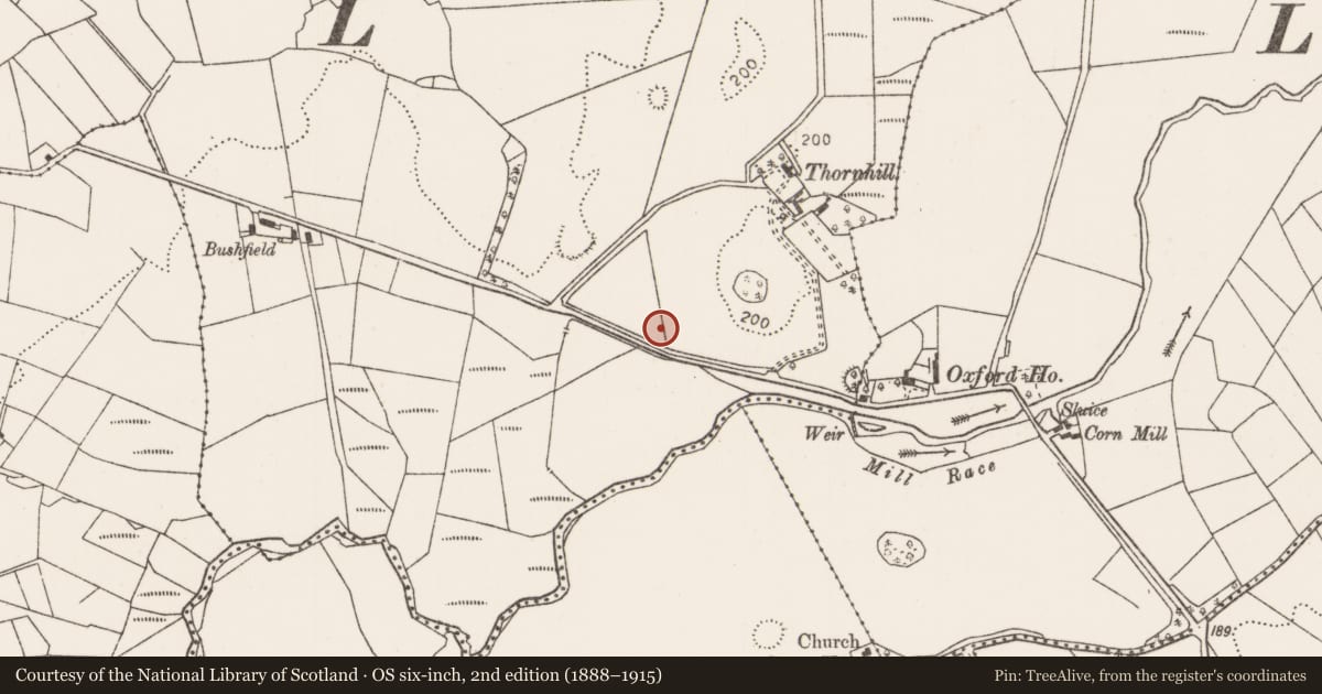 Ordnance Survey six-inch map, 2nd edition (1888–1915) covering the location of Burnt mound, Knocknaskeagh (Gallen By., Killeden Par.), County Mayo, with a pin at the register's coordinates