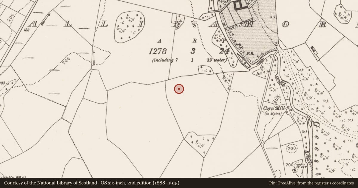 Ordnance Survey six-inch map, 2nd edition (1888–1915) covering the location of Enclosure, Ballinamore, County Mayo, with a pin at the register's coordinates
