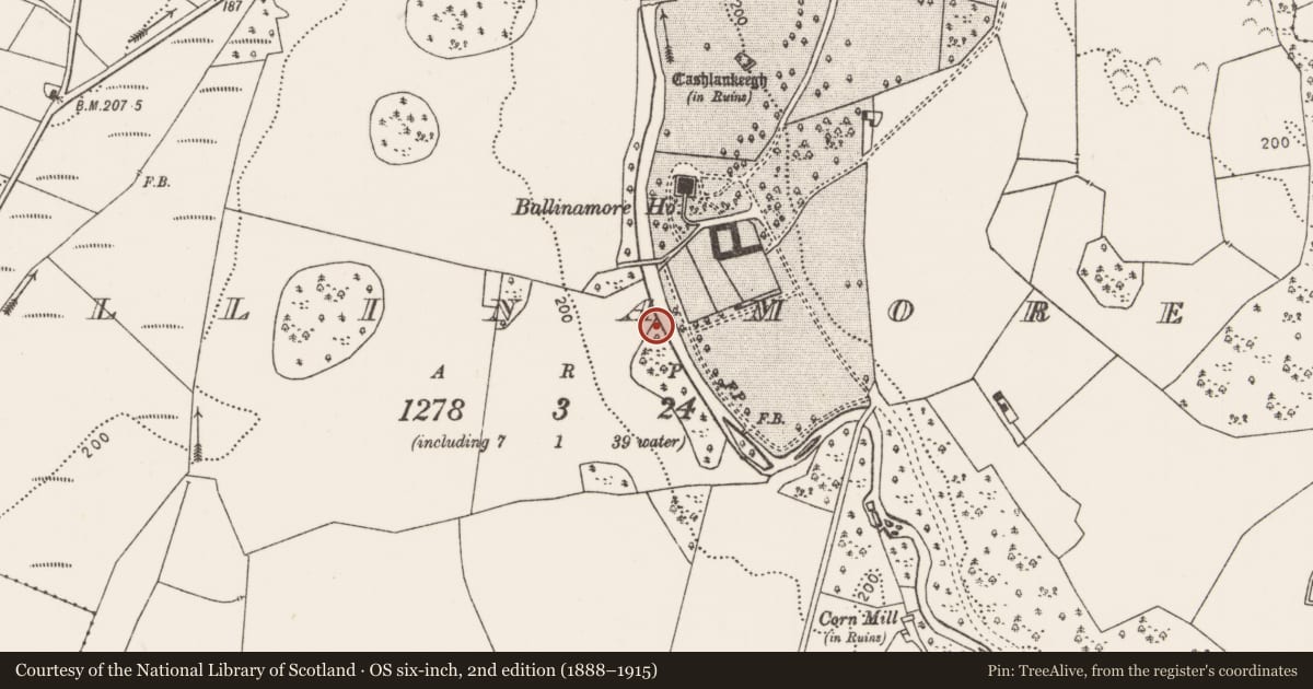 Ordnance Survey six-inch map, 2nd edition (1888–1915) covering the location of Burnt mound, Ballinamore, County Mayo, with a pin at the register's coordinates