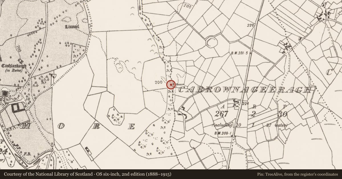 Ordnance Survey six-inch map, 2nd edition (1888–1915) covering the location of Burnt mound, Ballinamore, County Mayo, with a pin at the register's coordinates