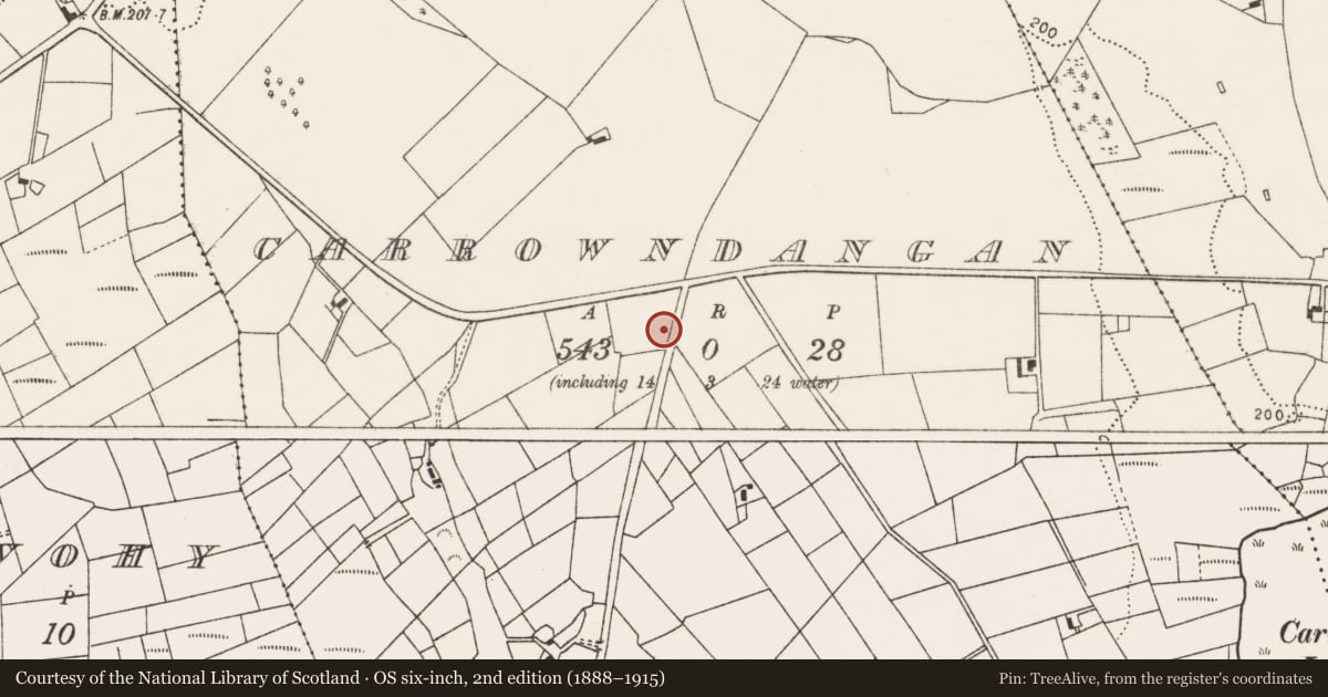 Ordnance Survey six-inch map, 2nd edition (1888–1915) covering the location of Burnt mound, Carrowndangan, County Mayo, with a pin at the register's coordinates