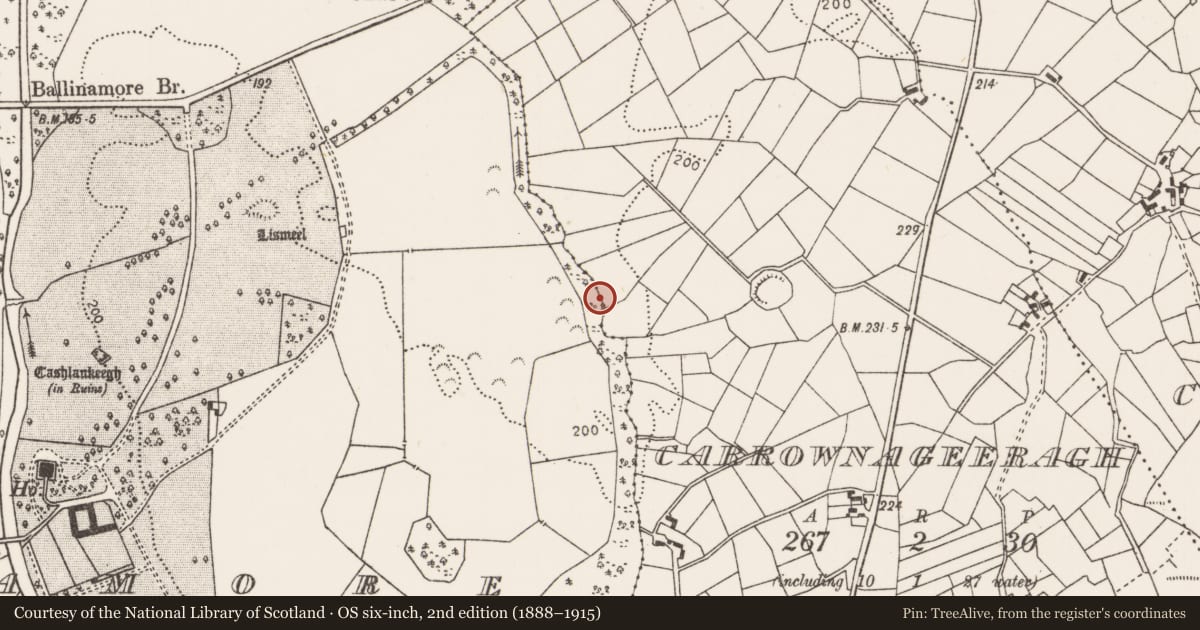 Ordnance Survey six-inch map, 2nd edition (1888–1915) covering the location of Burnt mound, Carrownageeragh (Gallen By., Killeden Par.), County Mayo, with a pin at the register's coordinates