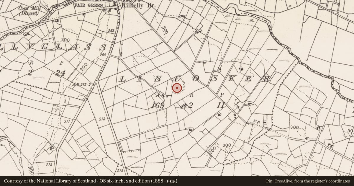 Ordnance Survey six-inch map, 2nd edition (1888–1915) covering the location of Ringfort - rath, Liscosker, County Mayo, with a pin at the register's coordinates