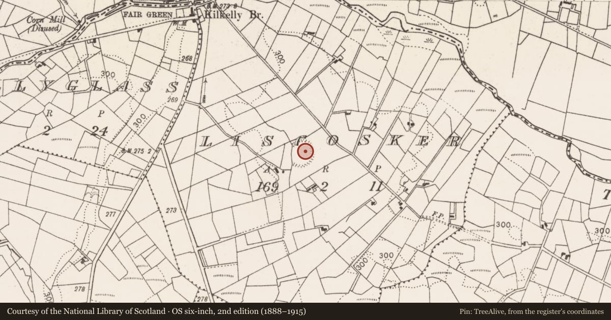 Ordnance Survey six-inch map, 2nd edition (1888–1915) covering the location of Souterrain, Liscosker, County Mayo, with a pin at the register's coordinates