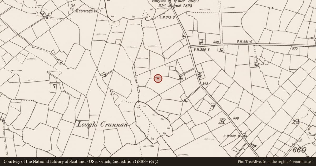 Ordnance Survey six-inch map, 2nd edition (1888–1915) covering the location of Ringfort - rath, County Mayo, with a pin at the register's coordinates