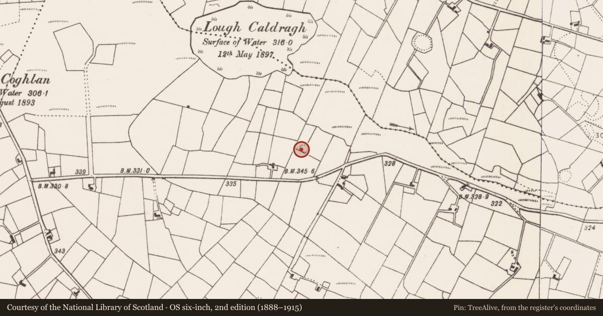 Ordnance Survey six-inch map, 2nd edition (1888–1915) covering the location of Ringfort - unclassified, Rath, County Mayo, with a pin at the register's coordinates