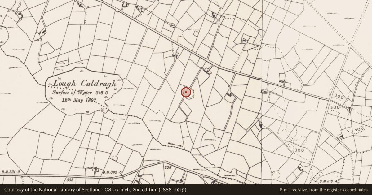 Ordnance Survey six-inch map, 2nd edition (1888–1915) covering the location of Ringfort - rath, Falleighter, County Mayo, with a pin at the register's coordinates