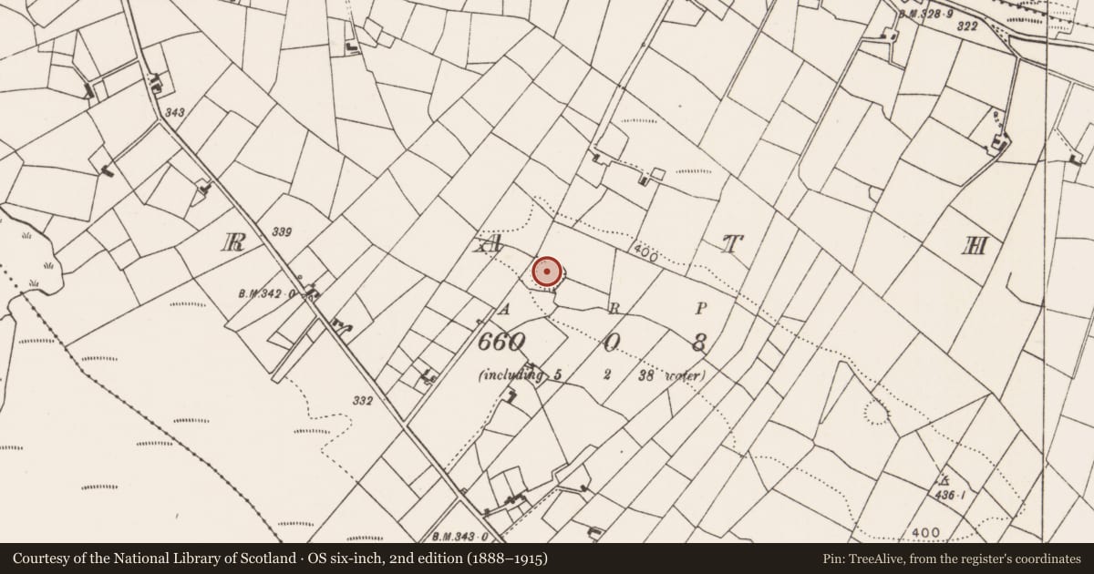 Ordnance Survey six-inch map, 2nd edition (1888–1915) covering the location of Children's burial ground, Rath, County Mayo, with a pin at the register's coordinates