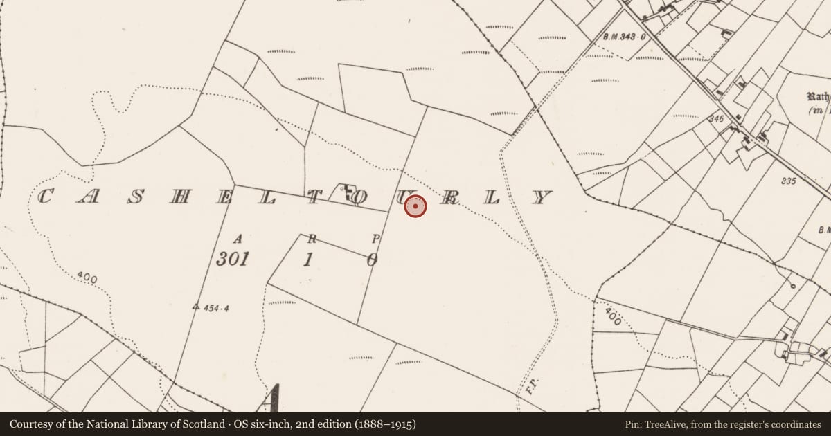 Ordnance Survey six-inch map, 2nd edition (1888–1915) covering the location of Ringfort - rath, Casheltourly, County Mayo, with a pin at the register's coordinates