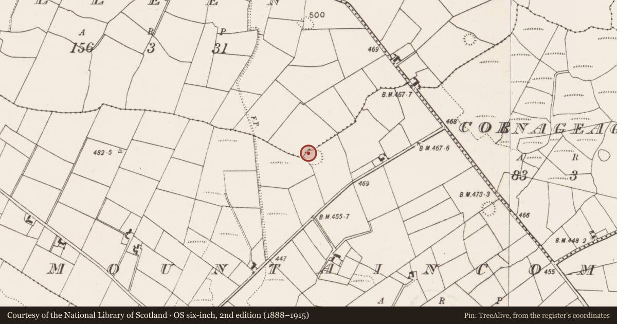 Ordnance Survey six-inch map, 2nd edition (1888–1915) covering the location of Ringfort - rath, Mountaincommon, County Mayo, with a pin at the register's coordinates