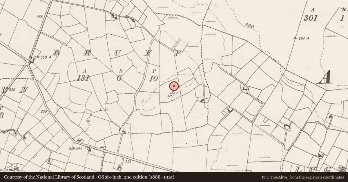 Ordnance Survey six-inch map, 2nd edition (1888–1915) covering the location of Ringfort - rath, Bruff, County Mayo, with a pin at the register's coordinates