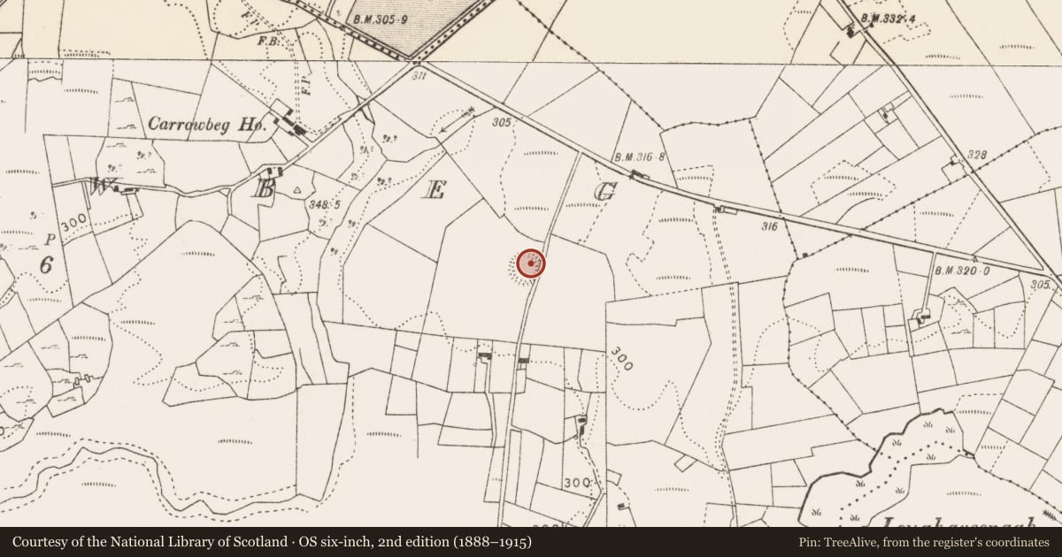 Ordnance Survey six-inch map, 2nd edition (1888–1915) covering the location of Ringfort - rath, Carrowbeg, County Mayo, with a pin at the register's coordinates