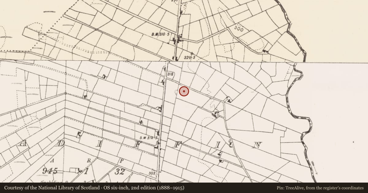 Ordnance Survey six-inch map, 2nd edition (1888–1915) covering the location of Ringfort - rath, Aghadiffin, County Mayo, with a pin at the register's coordinates
