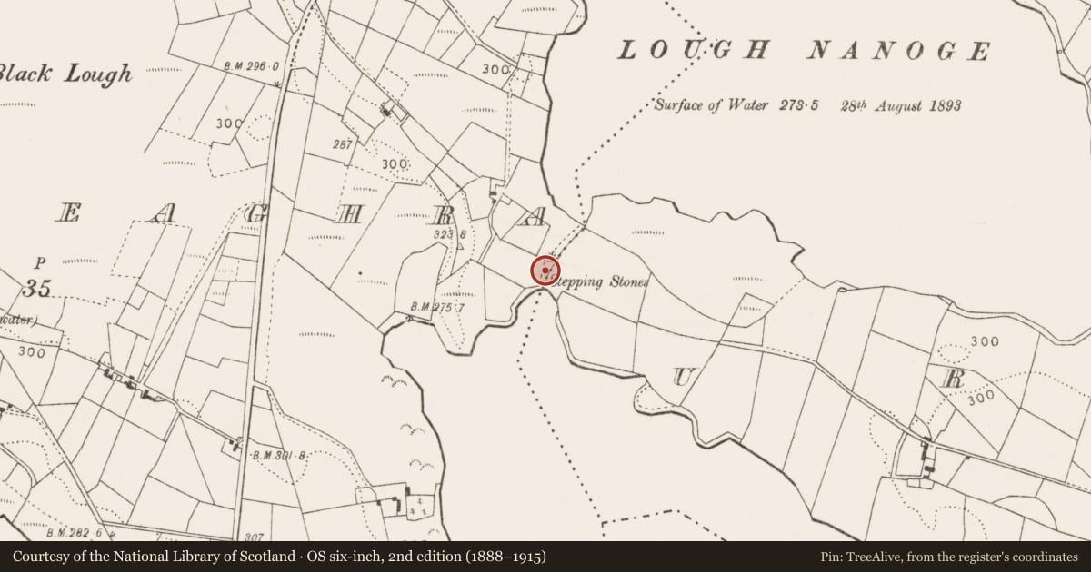 Ordnance Survey six-inch map, 2nd edition (1888–1915) covering the location of Mill - unclassified, Cloonfeaghra, County Mayo, with a pin at the register's coordinates
