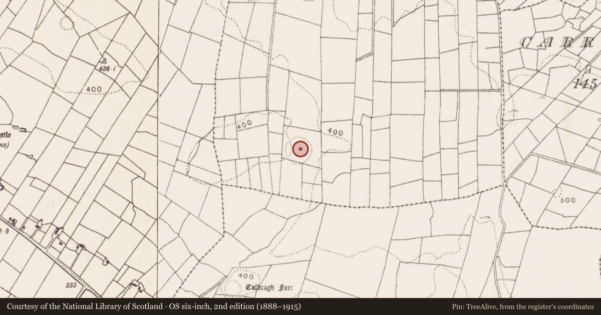Ordnance Survey six-inch map, 2nd edition (1888–1915) covering the location of Ringfort - cashel, Carrowbaun, County Mayo, with a pin at the register's coordinates