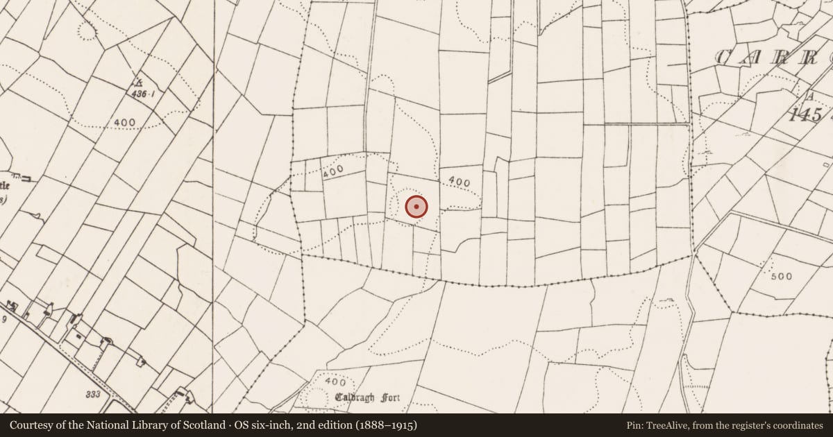 Ordnance Survey six-inch map, 2nd edition (1888–1915) covering the location of House - indeterminate date, Carrowbaun, County Mayo, with a pin at the register's coordinates