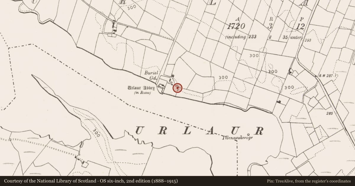 Ordnance Survey six-inch map, 2nd edition (1888–1915) covering the location of Burial ground, Urlaur, County Mayo, with a pin at the register's coordinates