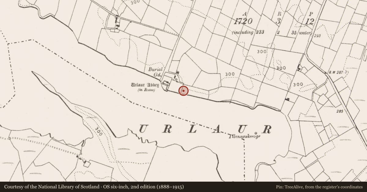 Ordnance Survey six-inch map, 2nd edition (1888–1915) covering the location of Moated site, Urlaur, County Mayo, with a pin at the register's coordinates