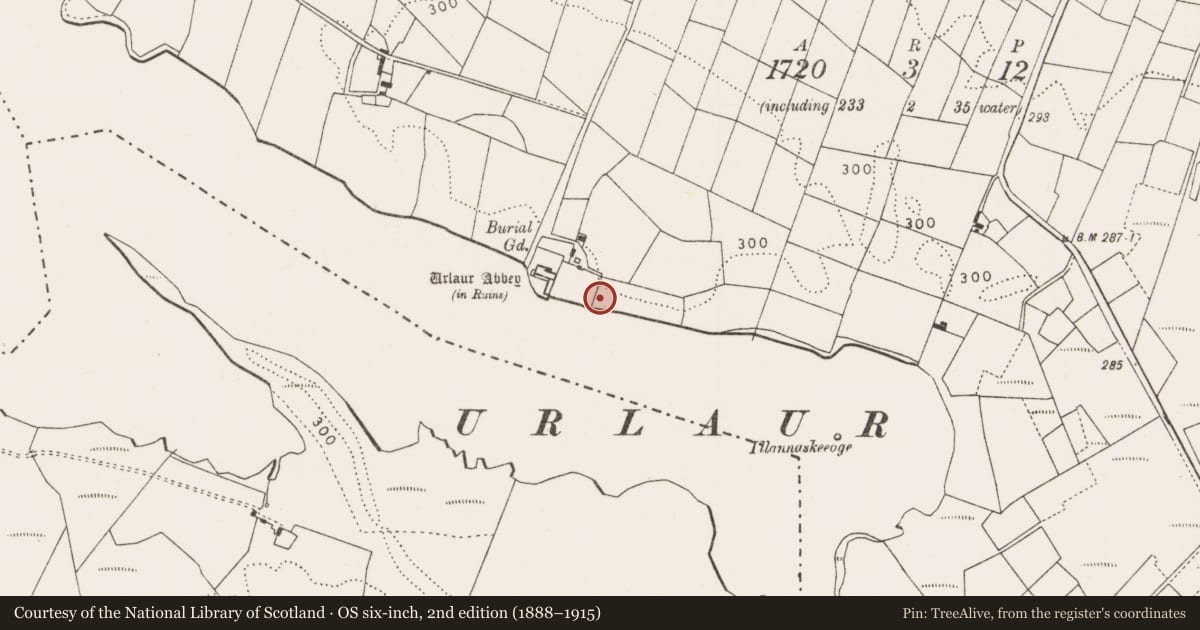 Ordnance Survey six-inch map, 2nd edition (1888–1915) covering the location of Earthwork, Urlaur, County Mayo, with a pin at the register's coordinates