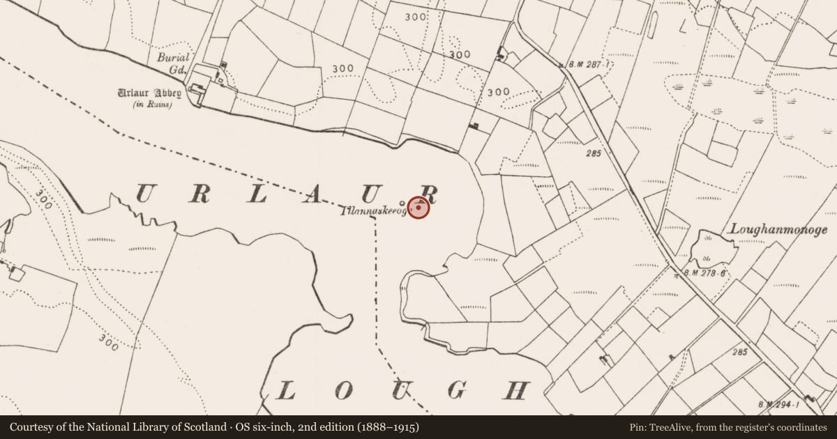 Ordnance Survey six-inch map, 2nd edition (1888–1915) covering the location of Crannog, Urlaur, County Mayo, with a pin at the register's coordinates