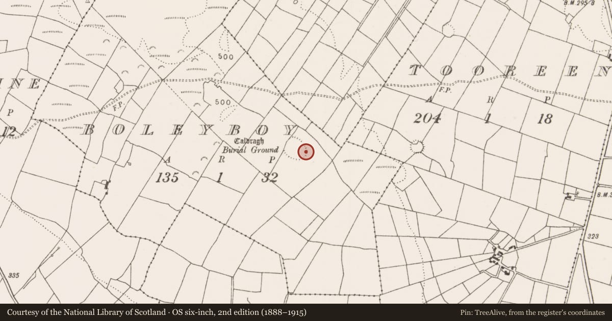 Ordnance Survey six-inch map, 2nd edition (1888–1915) covering the location of Children's burial ground, Boleyboy, County Mayo, with a pin at the register's coordinates