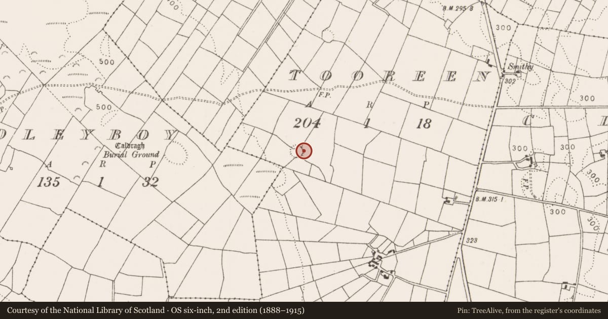 Ordnance Survey six-inch map, 2nd edition (1888–1915) covering the location of Enclosure, Tooreen, County Mayo, with a pin at the register's coordinates