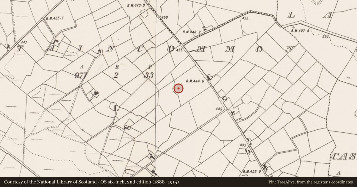 Ordnance Survey six-inch map, 2nd edition (1888–1915) covering the location of Ringfort - rath, Mountaincommon, County Mayo, with a pin at the register's coordinates