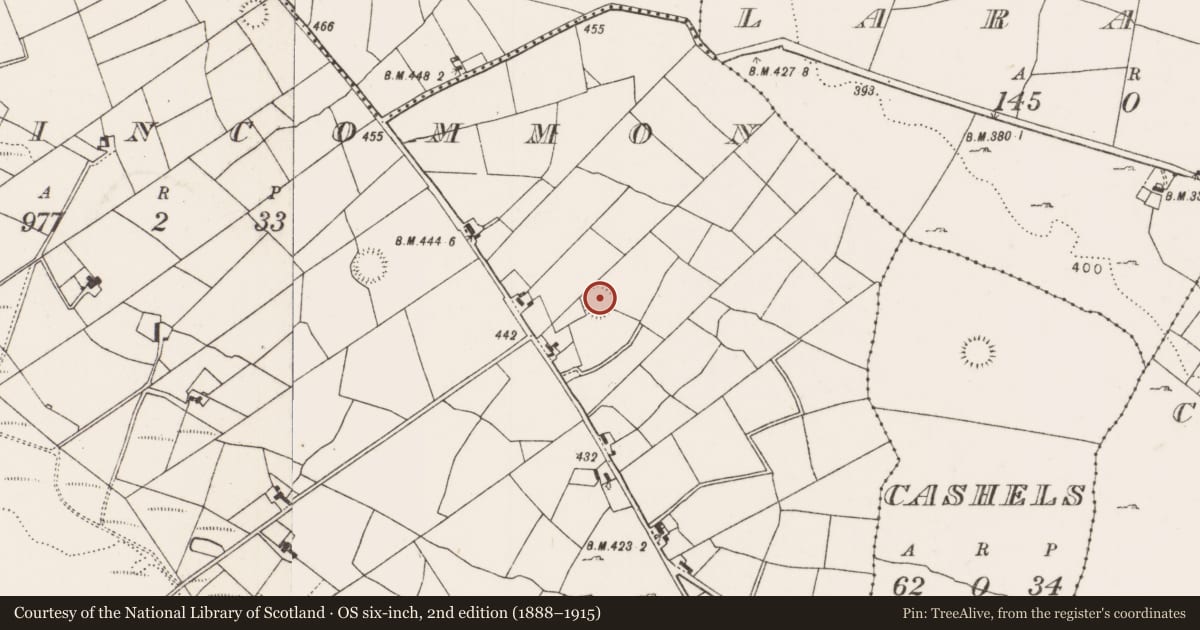 Ordnance Survey six-inch map, 2nd edition (1888–1915) covering the location of Ringfort - rath, Mountaincommon, County Mayo, with a pin at the register's coordinates