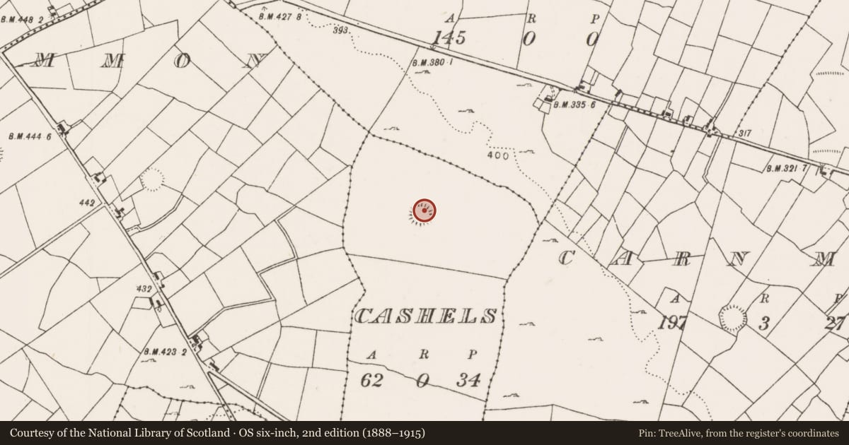 Ordnance Survey six-inch map, 2nd edition (1888–1915) covering the location of Ringfort - rath, Cashels, County Mayo, with a pin at the register's coordinates